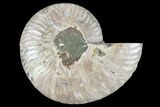Agatized Ammonite Fossil (Half) - Crystal Chambers #88264-1